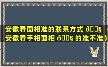 安徽看面相准的联系方式 🐧 （安徽看手相面相 🐧 的准不准）